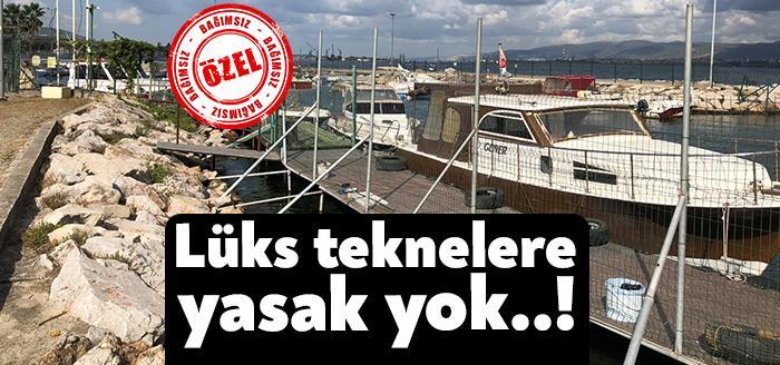 Kocaeli Haber – Gölcük Kavaklı Sahili’nde lüks teknelere yasak yok.