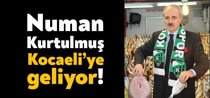 Ak Parti Genel Başkan Yardımcısı Numan Kurtulmuş, Ak Parti Kocaeli