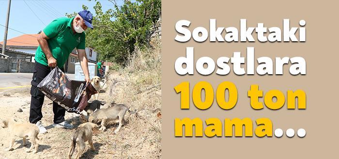 Kocaeli Haber - Kocaeli Büyükşehir Belediyesi il genelindeki kırsal noktalarda