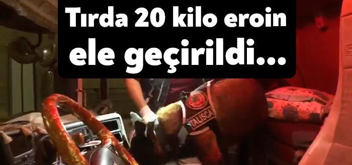 Kocaeli’de Narkotik ekiplerince durdurulan bir tırın içerisinde narkotik köpeği Talisca
