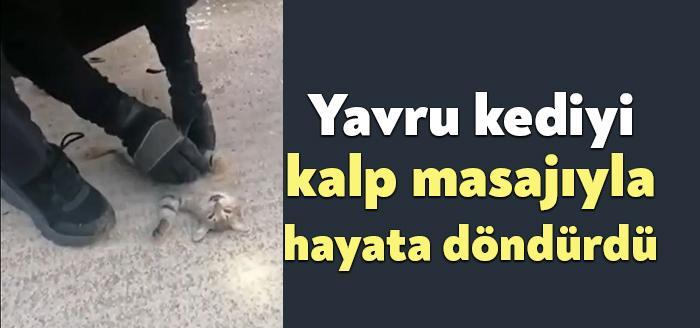 Kocaeli Haber-Kalbi duran yavru kedi, Kocaeli Büyükşehir İtfaiye erinin müdahalesi