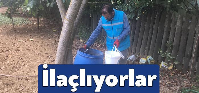 Kocaeli Haber -İzmit Belediyesi, 102 mahallede uçkun ve larva ilaçlama
