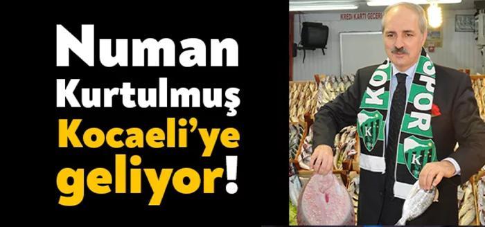 Ak Parti Genel Başkan Yardımcısı Numan Kurtulmuş, Ak Parti Kocaeli