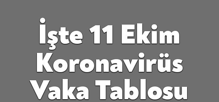 Sağlık Bakanlığı Korona tablosunu paylaştı. Bugün vaka sayısı 30 bin