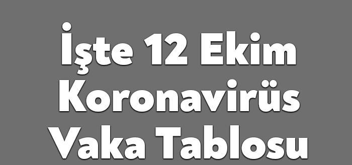 12 Ekim Korona Vaka Sayısına göre; 33 bin 860 yeni