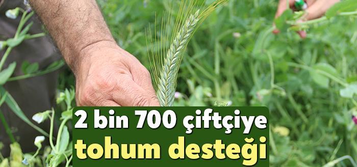Kocaeli Haber- Kocaeli Büyükşehir, sonbahar döneminde il genelinde yaklaşık 2