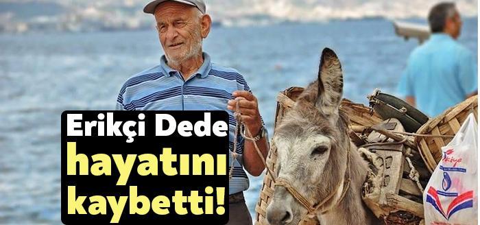 Kocaeli Haber- Değirmendere sahilinde Eşeği ile beraber erik satarak geçimini