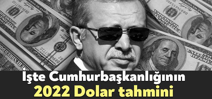 2022 yılı Cumhurbaşkanlığı yıllık programında gelecek yıl için ortalama dolar/TL