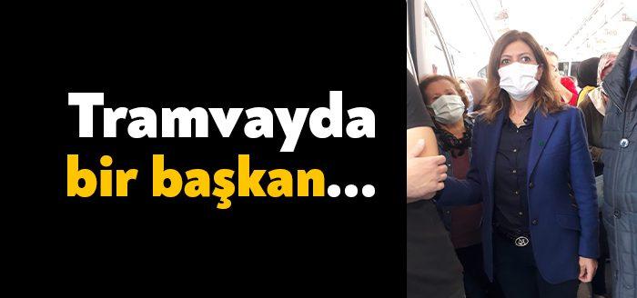 Kocaeli Haber - Gelecek Partisi Kocaeli İl Başkanı Serap Çakır,