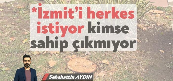 Sebahattin AYDIN'ın İzmit Kültür Tepesi'ndeki ağaçların kesilmesi üzerine yazdığı köşe