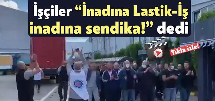 Kocaeli Haber- Lastik-İş Sendikasına üye işçiler dev fabrikalarda sendikalarına yönelik