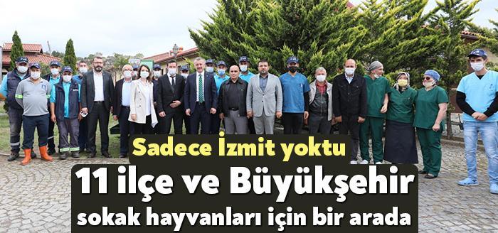 Kocaeli Haber- Kocaeli Büyükşehir’in Patilik Mutlu Sokak Hayvanları Kasabasında Kocaeli’nin