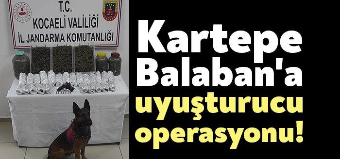 Kocaeli Haber- Kartepe Balaban Mahallesindeki bir evde jandarma ekipleri tarafından