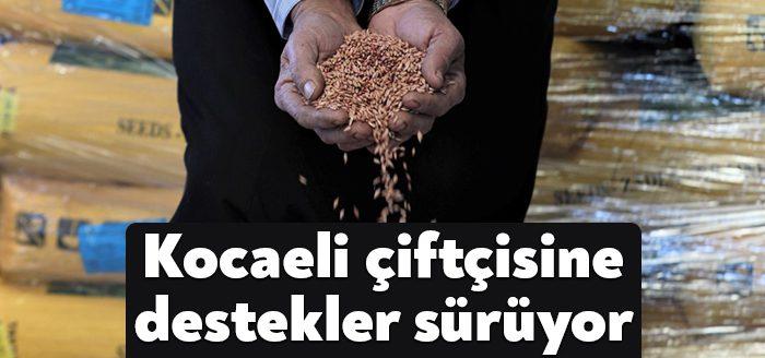 Kocaeli Haber- Büyükşehir’in, tarım ve hayvancılığa verdiği destek kapsamında gübre
