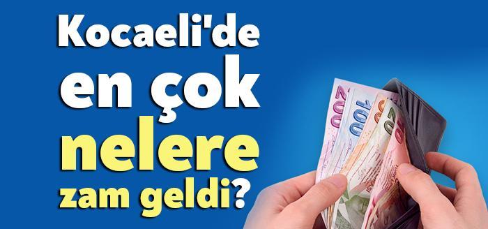 Türkiye İstatistik Kurumu Başkanlığı Kocaeli Bölge Müdürlüğü, TR42 Bölgesine ait Tüketici
