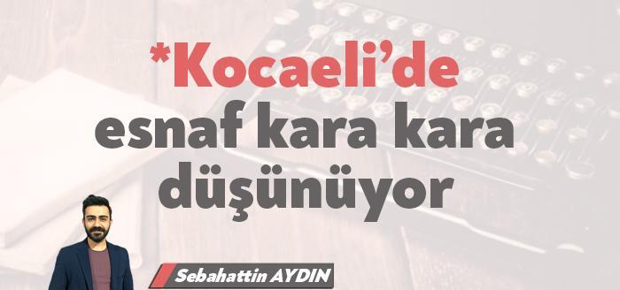 Sebahattin Aydın'ın pandeminin son durumu ve esnafın beklentisi üzerine kaleme
