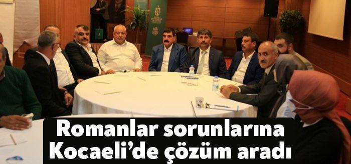 Kocaeli Haber-Büyükşehir’in Çalıştayı’nda, Roman vatandaşların 2019 yılındaki Cumhurbaşkanlığı Strateji Belgesinde