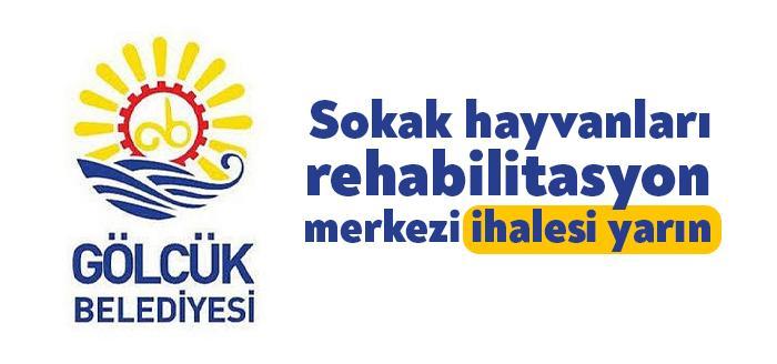 Gölcük Belediyesi ilçe genelinde büyük bir sorun haline gelen sokak