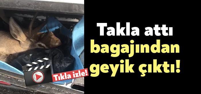 Kocaeli Haber-Kuzey Marmara Otoyolu'nda pikap Tır'a arkadan çarparak takla attı.