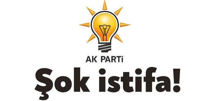Kocaeli Haber- AK Parti Dilovası İlçe Gençlik Kolları eski