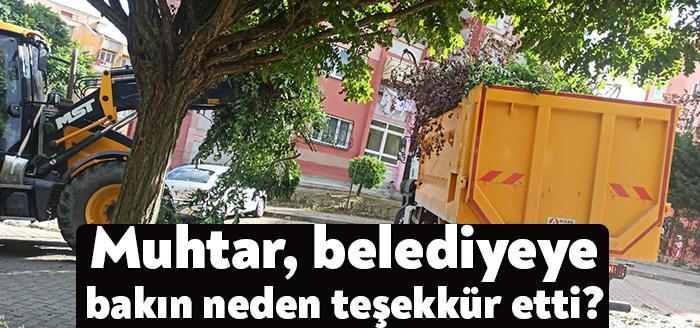 Kocaeli Haber- Ayazma Mahalle Muhtarı Fırat Çiçek, İzmit Belediyesi Temizlik