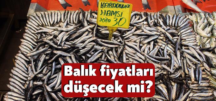 Kocaeli Haber - Av sezonunun bir ay önce başlamasıyla birlikte