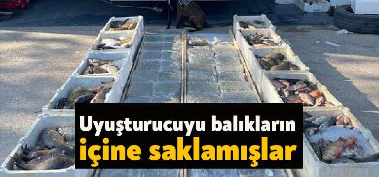 Kocaeli Haber- Kocaeli'de polis ekiplerince takibe alınıp, durdurulan balık yüklü
