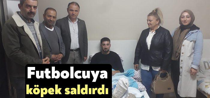 Kocaeli Haber- Dilovası'nda başıboş köpeklerin saldırması sonucu yaralanan ve tedavi