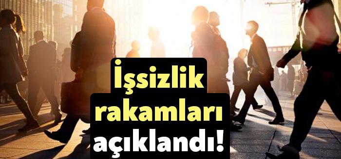 Türkiye İstatistik Kurumu (TÜİK) Ağustos 2021 dönemine ait işgücü rakamlarını