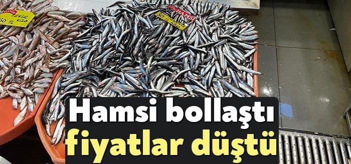 Kocaeli Haber- Karadeniz’de hamsi sezonu açıldı. Balık bolluğu fiyatların düşmesine