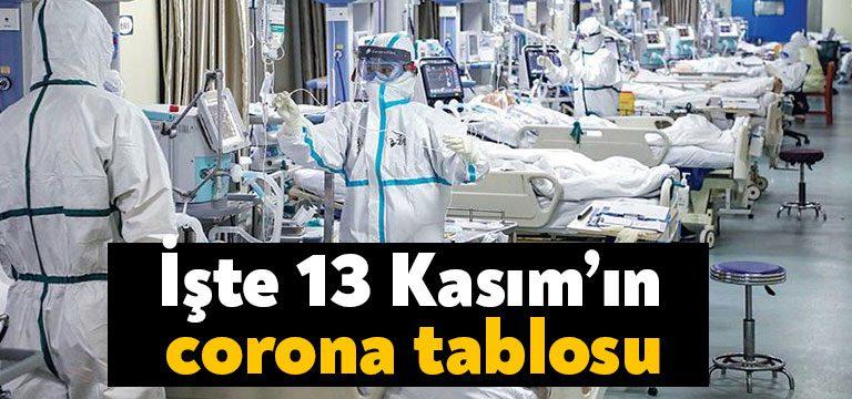 Kocaeli Haber-Sağlık Bakanlığı'nın açıkladığı 13 Kasım 2021 Cumartesi gününün corona