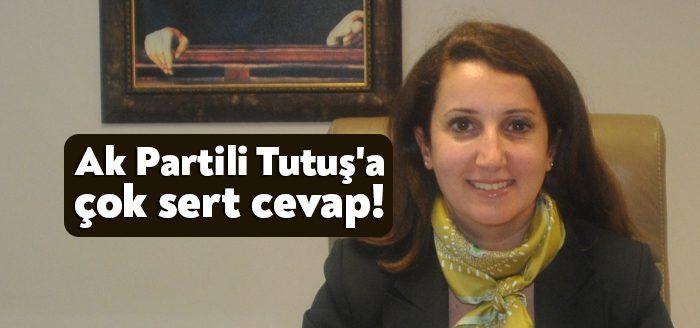 Kocaeli Haber -İzmit Karaabdülbaki Mahallesinde bulunan lavanta bitkilerinin Durhasan Tarımsal