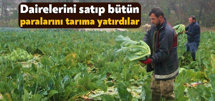 Kocaeli Haber -Kocaeli’nin Gebze ilçesinde yaşayan ve mermerciliği bırakarak bütün