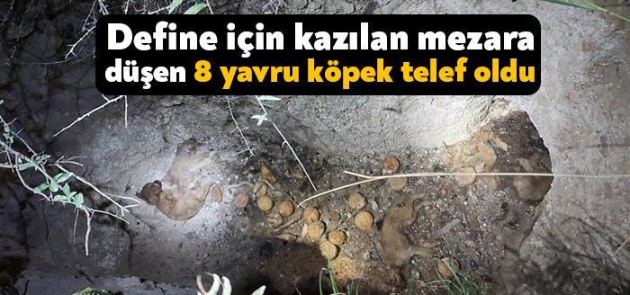 Kocaeli Haber -Kocaeli’nin Dilovası ilçesinde define için kazılan mezara düşen