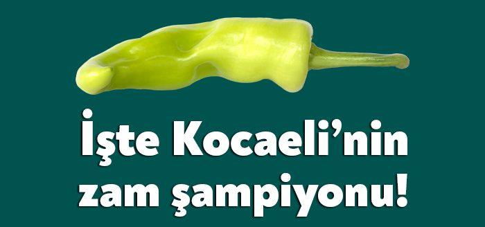 Kocaeli Haber - Türkiye İstatistik Kurumu Başkanlığı, Kocaeli’nin de için de