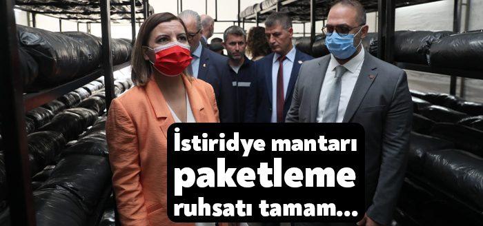 Kocaeli Haber - Tarımsal kalkınma hamleleriyle kentte üretime teşvik çalışmalarına devam