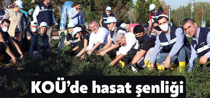 Kocaeli Haber - Kocaeli Üniversitesi ile Kocaeli Büyükşehir Belediyesi arasında