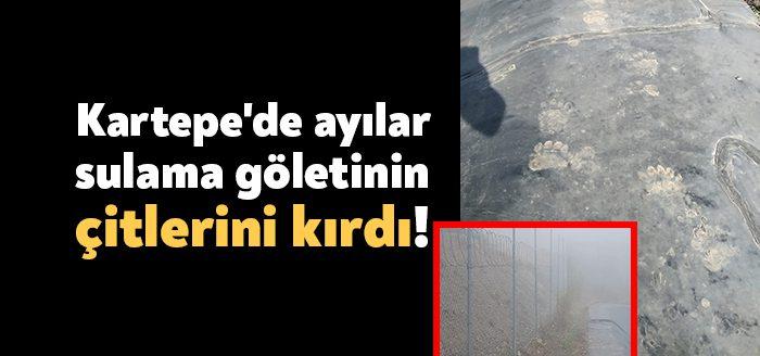 Kocaeli Haber - Kocaeli Büyükşehir A Takımı ekipleri, Kartepe’de ayıların