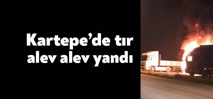 Kocaeli Haber -Kocaeli'de park halindeki tırın kupasında çıkan yangın, başka