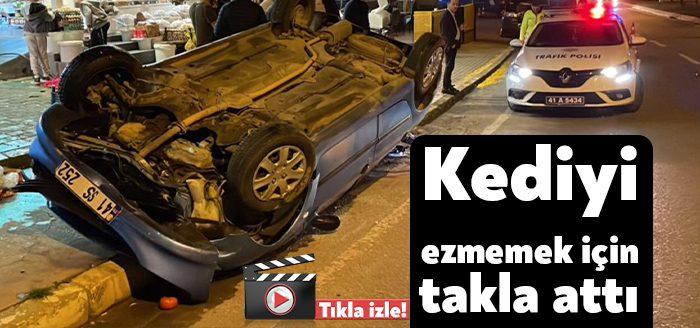 Kocaeli Haber - Kocaeli'nin İzmit ilçesinde önüne çıkan kediye çarpmamak