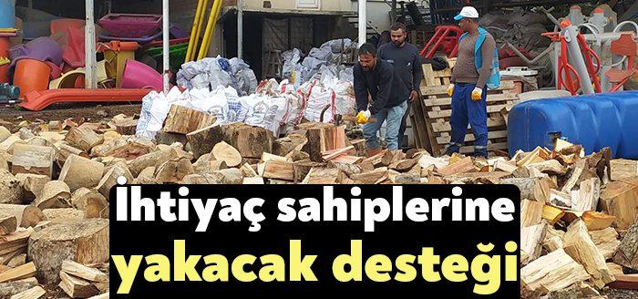 Kocaeli Haber- Başiskele Belediyesi, devrilme tehlikesi geçiren ağaçları budayarak, elde