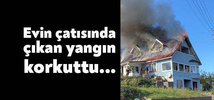 Kocaeli Haber - Gölcük ilçesinde bulunan evin çatı katında çıkan