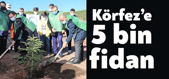Kocaeli Haber- Türkiye’de eş zamanlı olarak düzenlenen 84 milyon fidanın