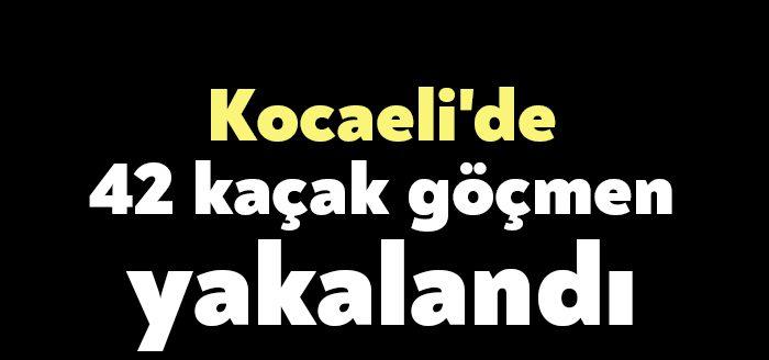 Kocaeli Haber- Kocaeli'de jandarma ekiplerince durdurulan minibüste yapılan aramada, yasa