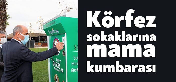 Kocaeli Haber - Sokak canlarının her zaman yanında olan Körfez
