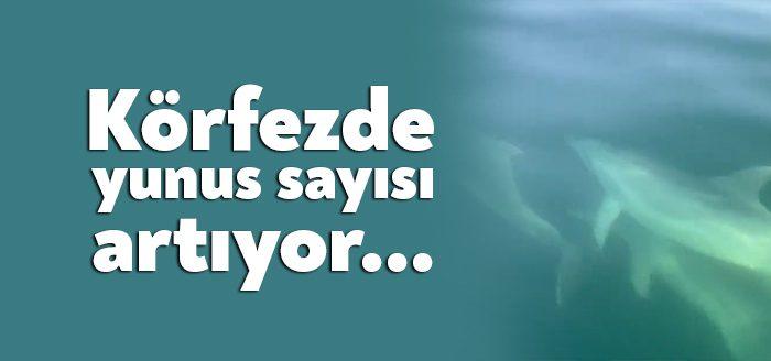 Kocaeli Haber - İzmit Körfezi'nde büyük ölçüde  kirliliğin önüne geçildi.