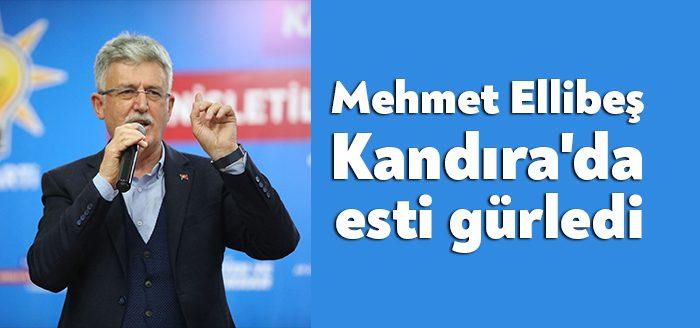 Kocaeli Haber - AK Parti Kocaeli İl Başkanı Mehmet Ellibeş,