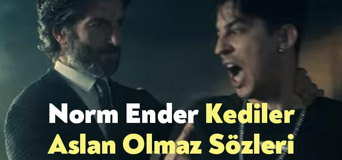 Norm Ender Kediler Aslan Olmaz Sözleri, dinleyiciler tarafından merak ediliyor.