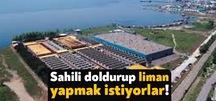 Kocaeli Haber - İzmit’in en güzel yerlerinden biri olan Plajyolu