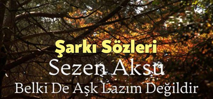 Sezen Aksu Belki De Aşk Lazım Değildir Sözleri dinleyiciler tarafından